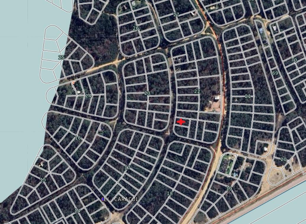 Padron 20586 M22 arboles