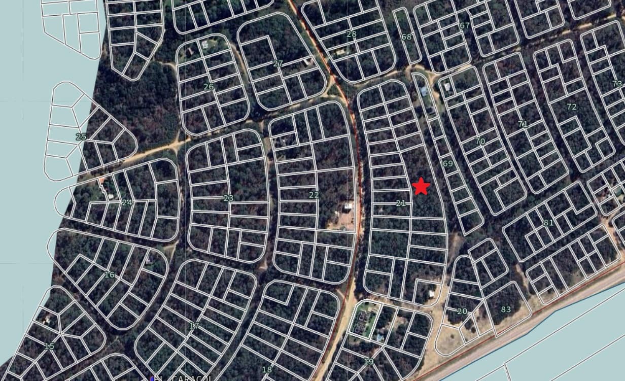 Padron 20098 M21 arboles