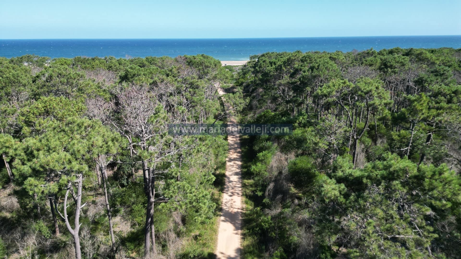 Diseño sin títuloDD-min