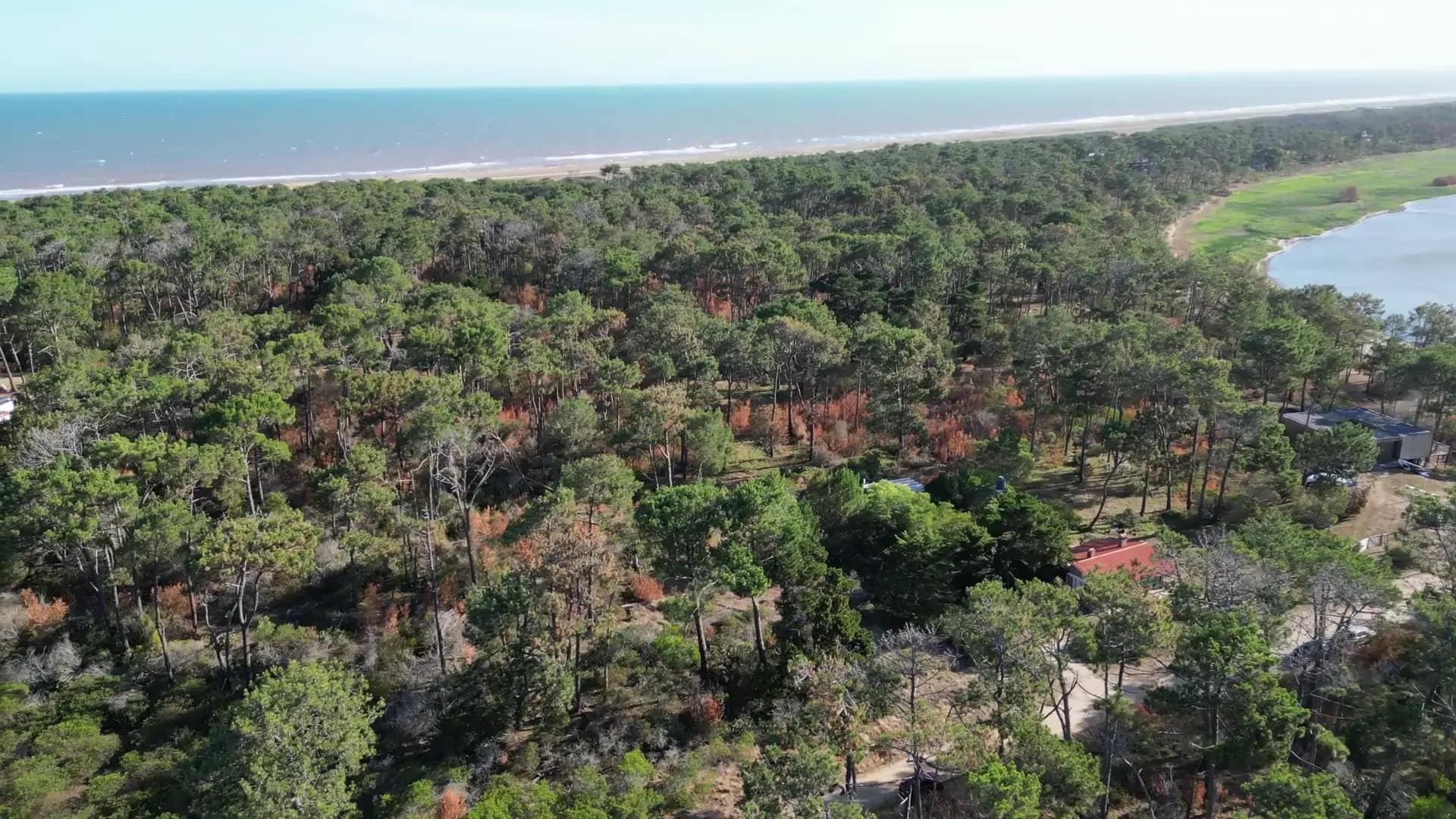 vlcsnap-2026-02-19-10h51m24s669