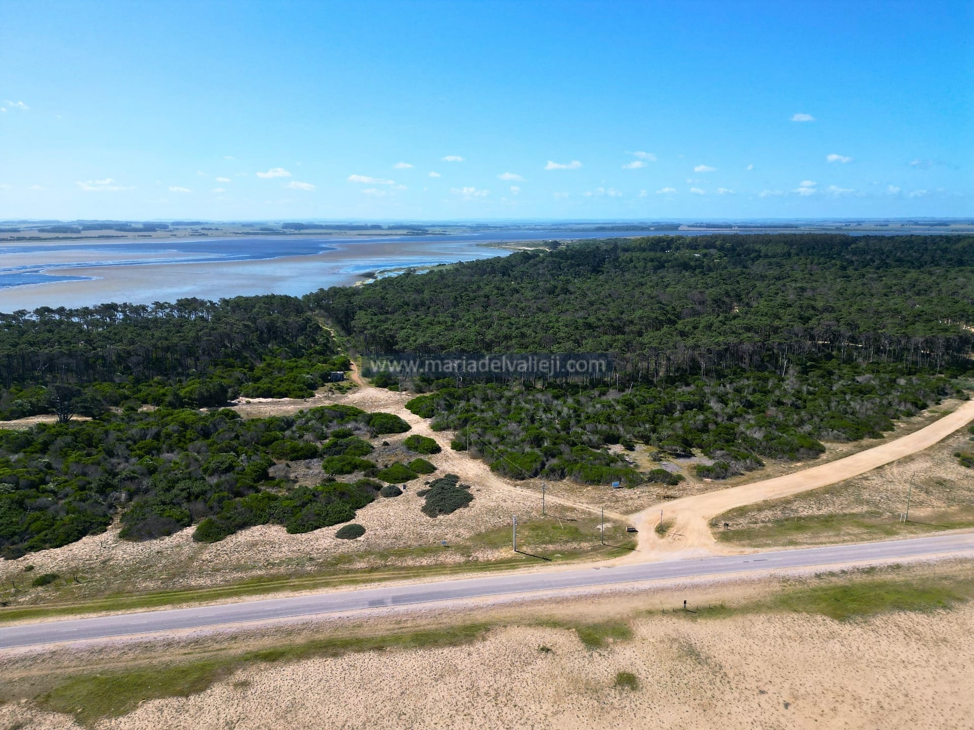 Foto padron 20117 para subirch-min