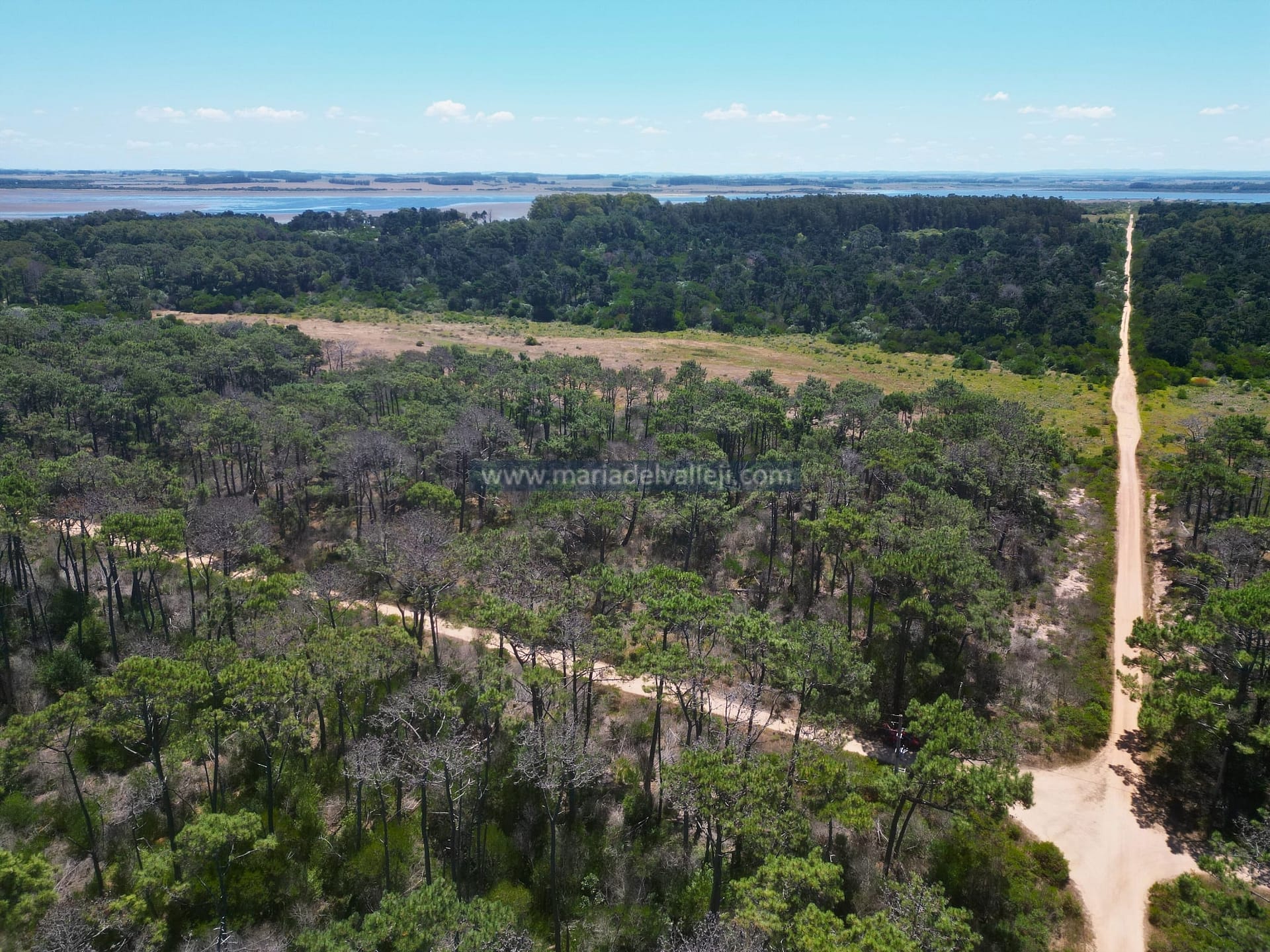 Foto padron 20117 para subirg-min