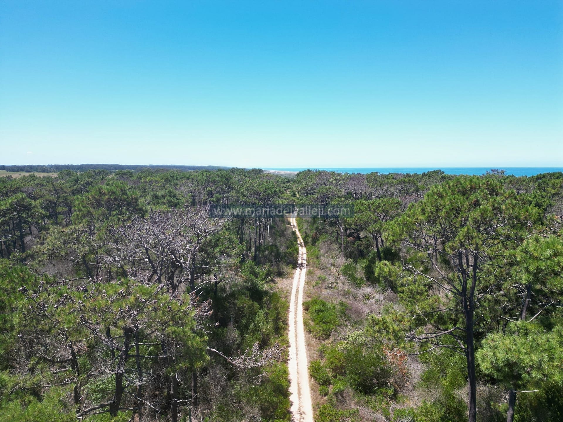 fOTO PAdron 20117 para subirr-min