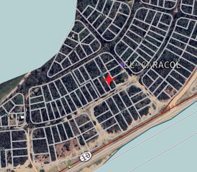 Padron 20118 arboles