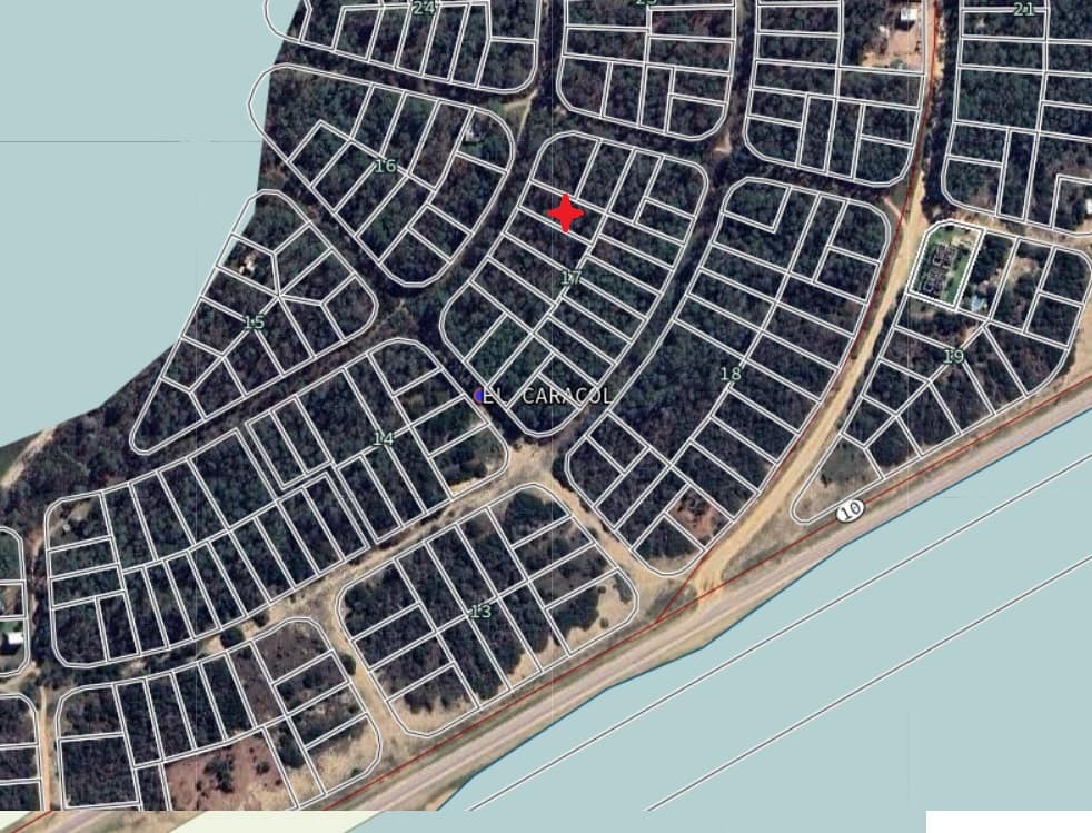 Padron 20121 M17 arboles