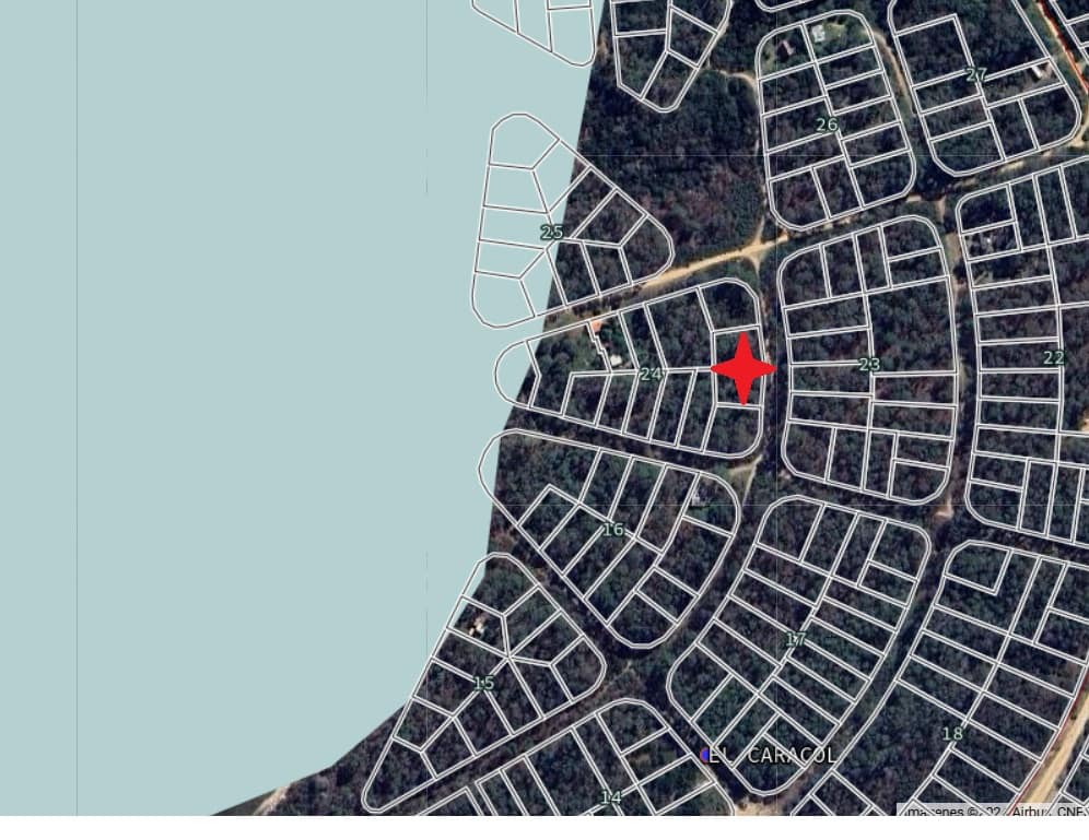 Padron 20125 M24 web